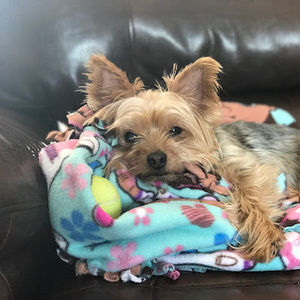 Meet your Posher, A&e